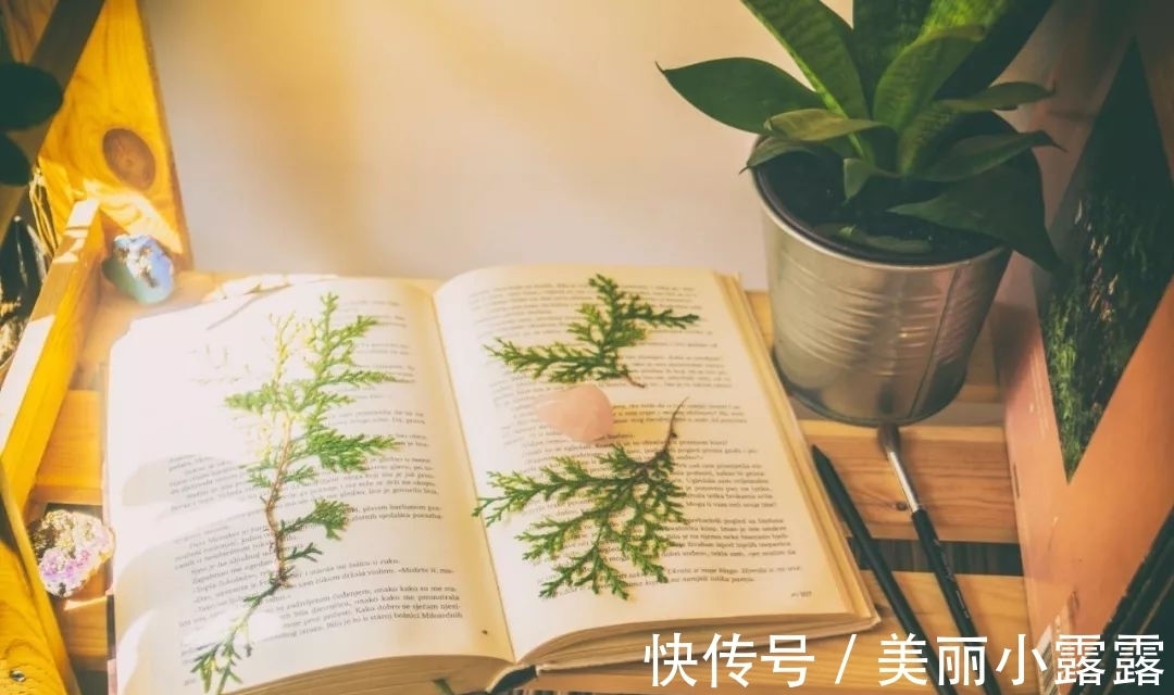 浪漫的事$十二月:以诗赠友,与君共勉