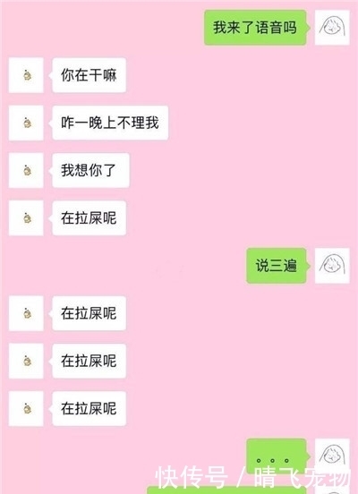 家里|轻松一刻：小侄子带女同学来家里，这是你新女友？小侄子瞥了一眼