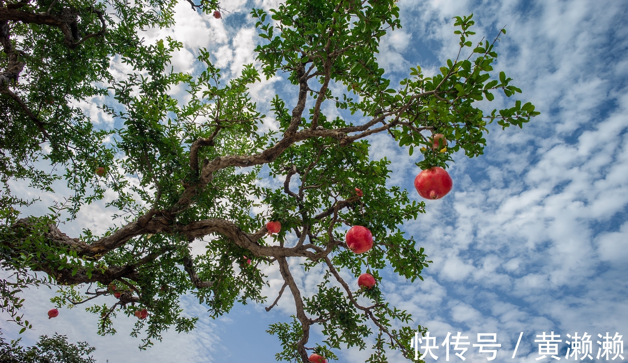 钱塘江@宋诗精华五首，其中一首是苏轼的写景代表作，能打动您吗