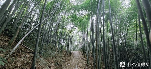 山阴道上行 如在画中游|旅行日志 篇一：绍兴 · 萧绍古道 | 中年