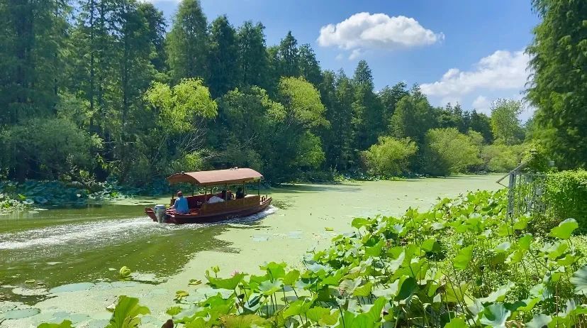 高邮|秋游集合啦，清水潭旅游度假区走起