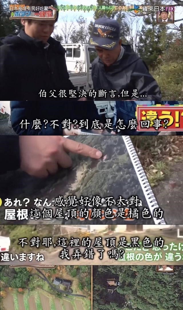 房好吃惊|23年种5700棵树 这个老人把荒山建成了森林公园