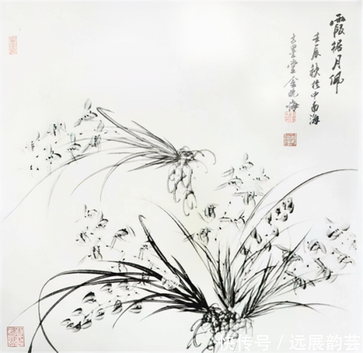 花鸟&自然的韵律——金晓海的水墨花鸟画