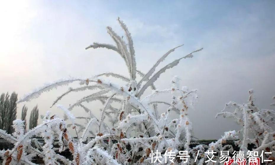 脚婆$如何用古诗文形容一个人丑, 杀伤力太大了!