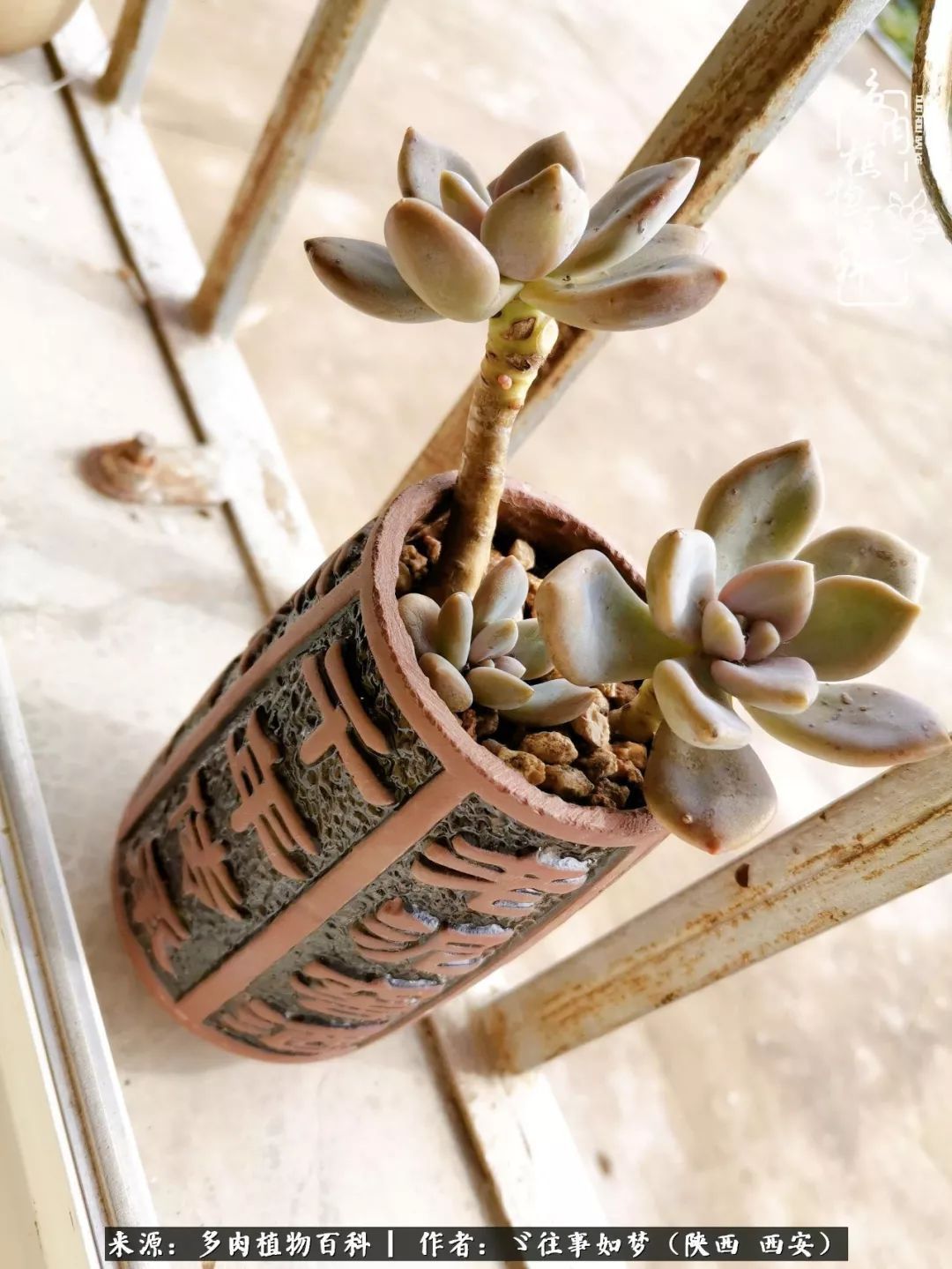 愿你付出甘之如饴，愿你所得归于欢喜！