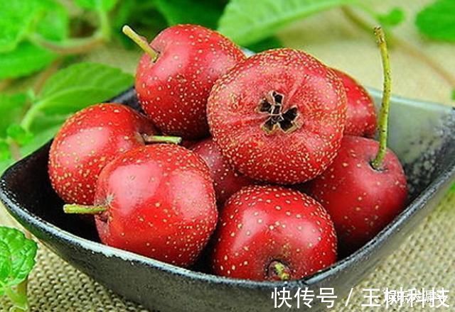 女性|子宫“不喜”5大水果,女性平时少吃,坚持这1运动或是王道