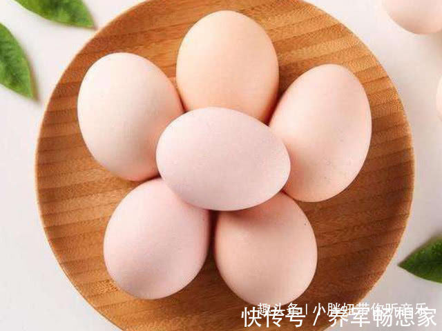 营养物质|再苦不能苦了孩子!让孩子多吃4种食物,补脑长个更健康