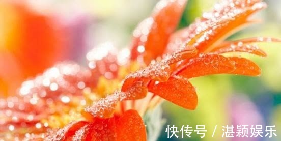 射手|5天后，桃花乍现，重拾情缘，旧情复燃，痴心不变，再结琴瑟之好