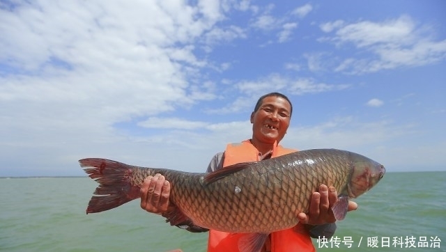 钓鱼|大鱼真的难钓吗？学到这7个技巧，助你天天钓大鱼