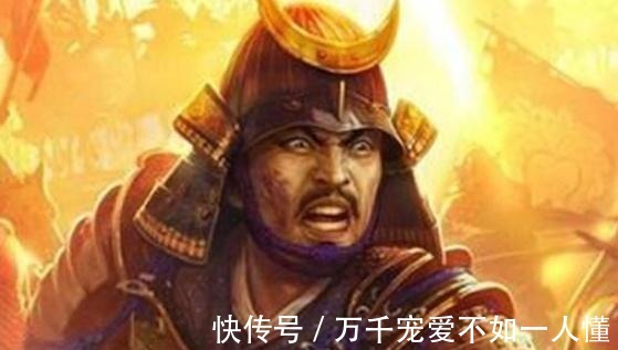 死士|5本超好看架空历史文他收猛将招谋士,训练死士特种兵屯兵百万!