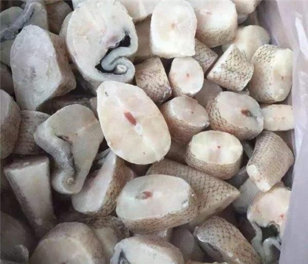 渔民|为什么渔民捕捞到鳕鱼,要马上去掉鱼头掺杂了这种鱼可要当心