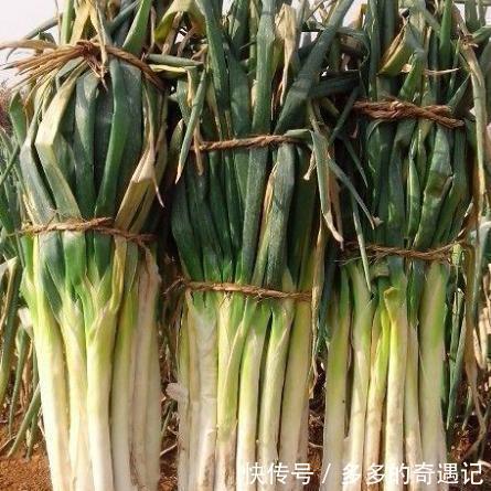 买大葱,内行人就看这5处,一眼分辨好坏,菜贩这人不好忽悠