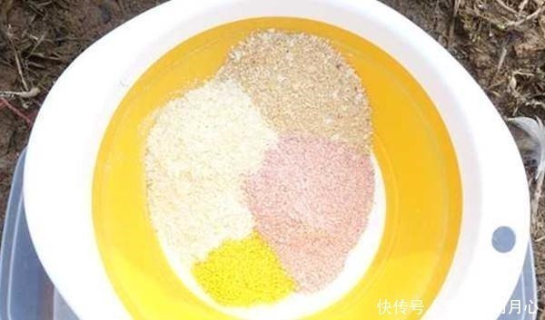 饵料|野钓如何才能多钓几条鱼避免这些野钓的禁忌,收获能翻倍!