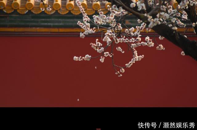 皇上居住的养心殿,为什么常年阴冷潮湿?专家拆开地板才发现真相