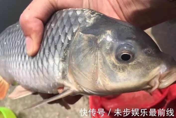 退水该怎么钓鱼?老手和新手的区别就在这,看清楚了!