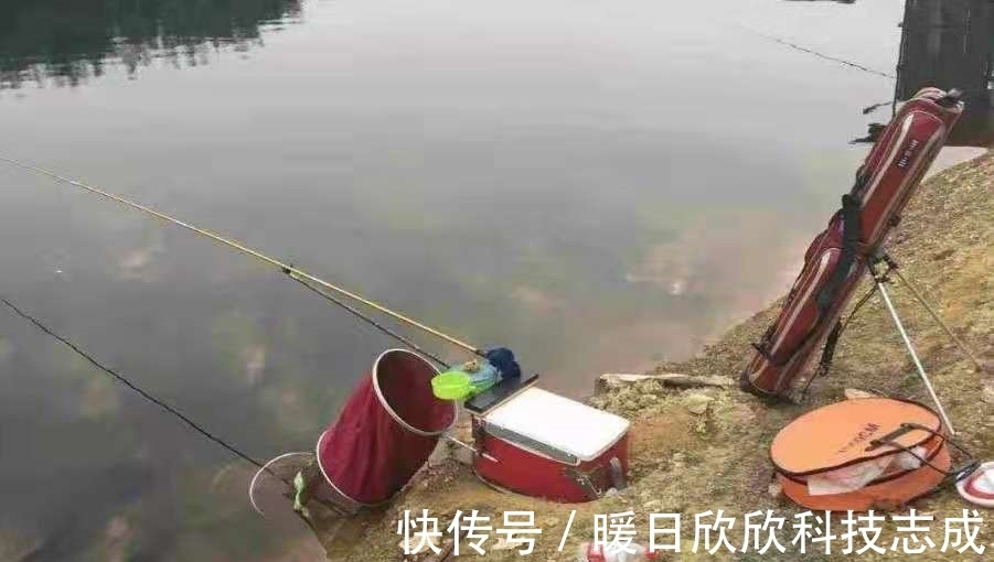 夏天|夏天一到，鲤鱼只要按我说的钓，隔三五天就想钓一钓，切记别透露