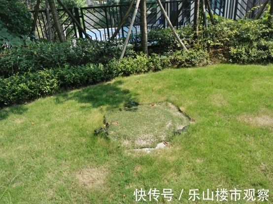 下跌|实探乐山这个均价一路下跌的楼盘，你买亏了吗？