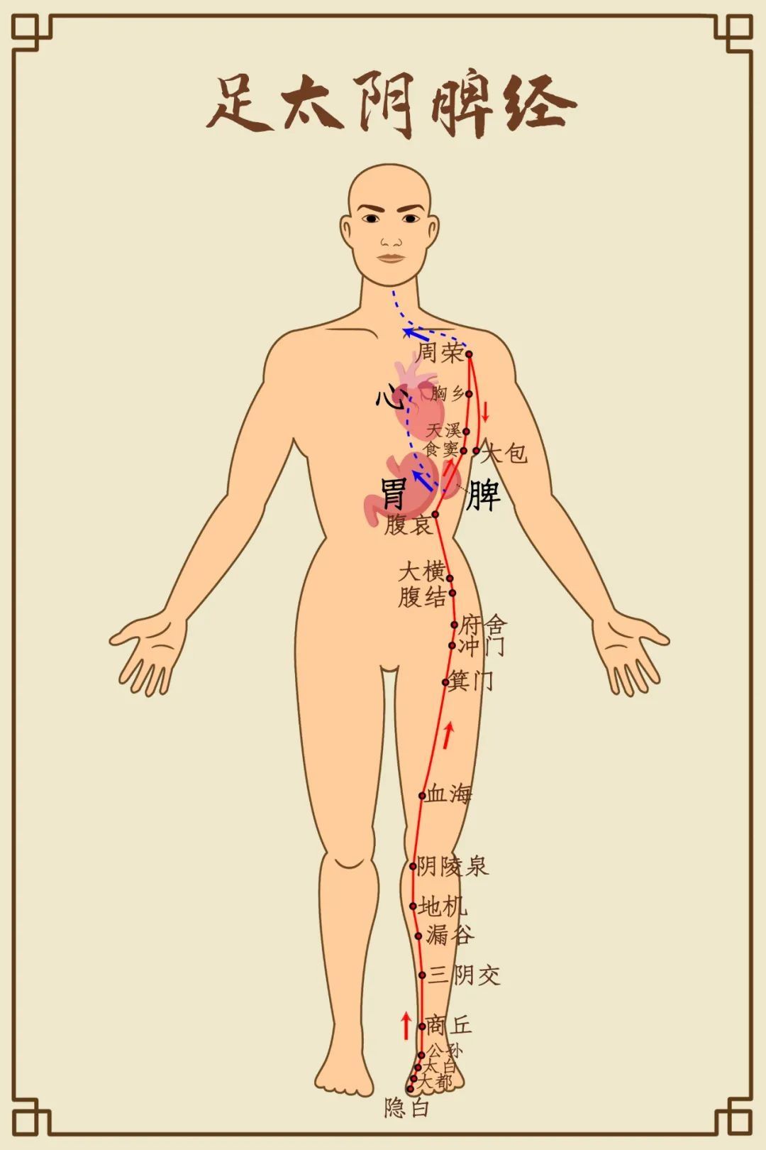 拍打|【健康】五脏最喜欢的养生动作，你知道吗？