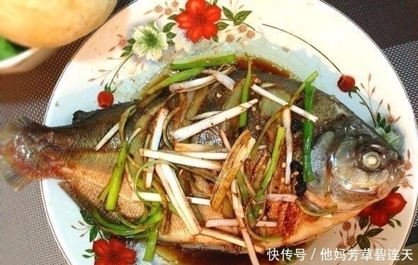 珠江|珠江入水口,洪水冲来大量“食人鲳”,牙齿尖锐,三五斤一条