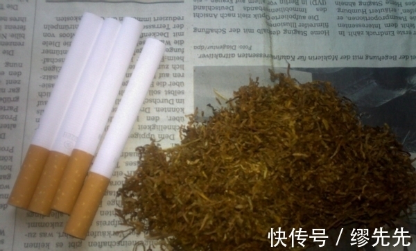 杀虫|养花生虫，试试这4样“家庭好物”，保你轻松驱虫杀虫