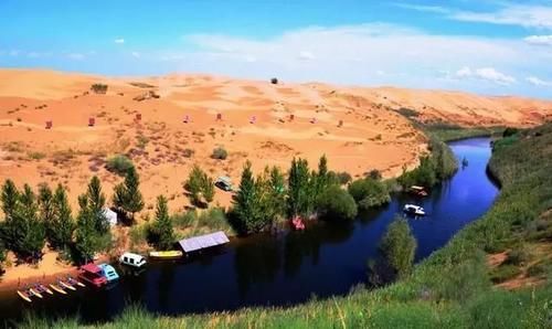 目的|日本人花14年在中国种树，究竟有什么目的？背后原因令人不敢相信