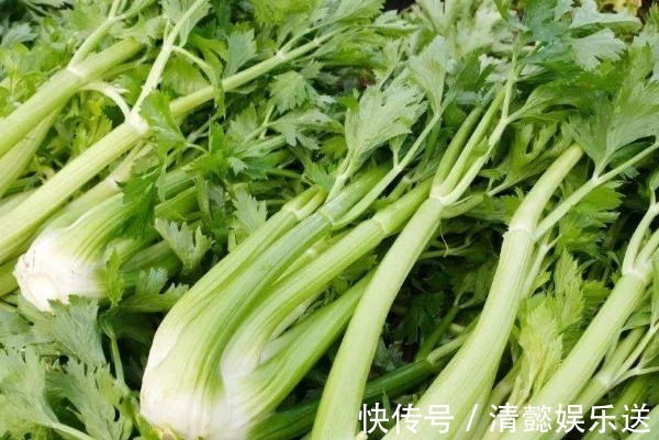 凉拌芹菜|天天和芹菜打交道,才发现芹菜的一种吃法还有毒,赶快告知家人