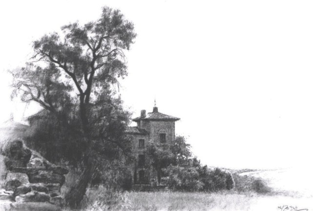 素描&唯美写实的素描,西班牙艺术家Miguel Angel Oyarbid笔下的树