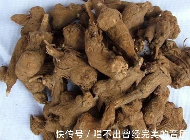 药方|这副经典中药方为何治疗结节、肿瘤疗效好,因为由4种虫类药组成