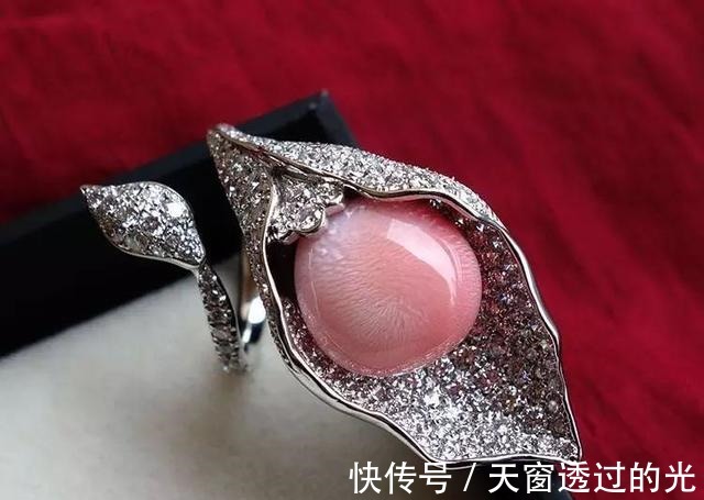 海螺&最珍贵的有机宝石,珍珠中的稀有品种,不了解它,就别说爱珍珠