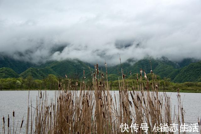 鱼儿如何寻找越冬地点，天气再冷也能爆护---皇禾钓具