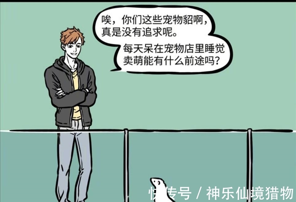 变身术|非人哉:黄大仙嘲讽貂兄无抱负,一颗貂粮打脸,抱负再大不如吃得香