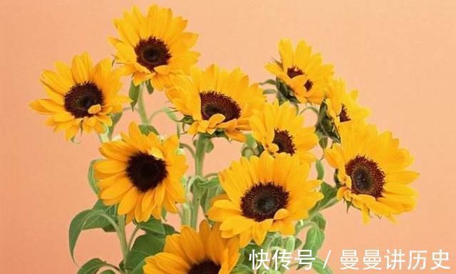 肝癌|23岁女大学生肝癌晚期,生命最后的愿望竟然是种一棵树