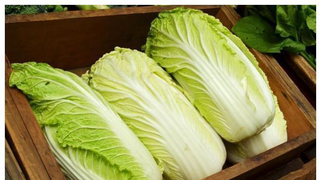 买白菜时,选择紧实的还是松散的?教你3招,选出好吃白菜