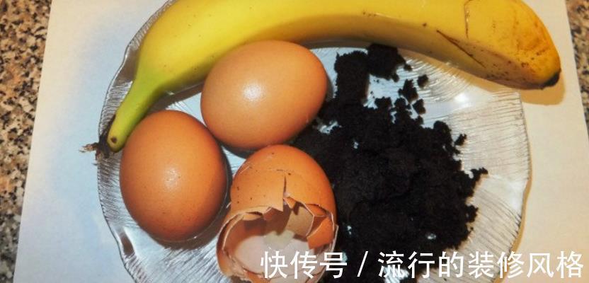 蛋壳养花好在哪里?学会这些技巧,盆栽再没有黄叶缺营养的毛病