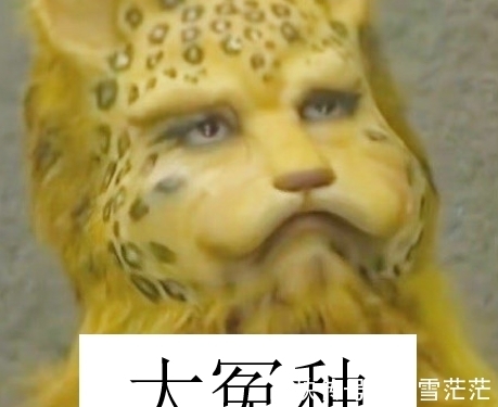 最近的朋友圈,跑进来一只豹子