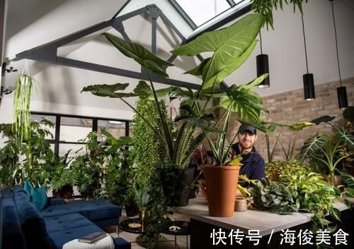 一片叶子要价10多万!顾客竟排队抢买 男子曝致富关键