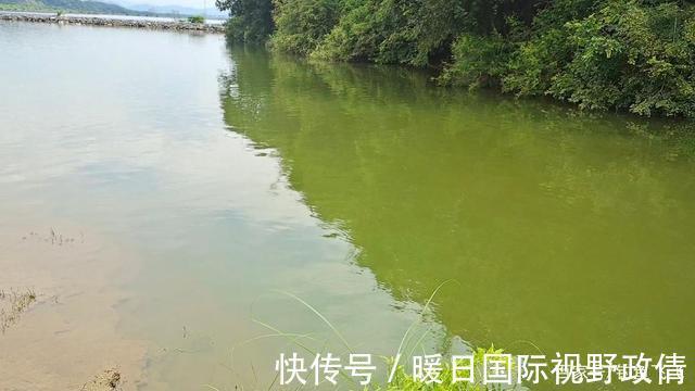 游泳|危险!这两个季节是钓鱼人的“克星”开钓需谨慎,血淋淋的教训