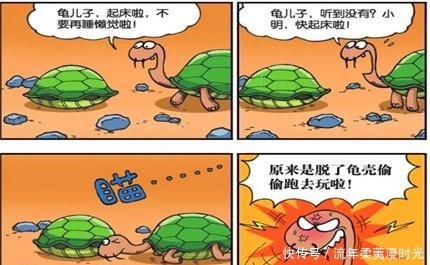 搞笑|搞笑漫画白吃“同享龟壳”好有爱，“肌肉男”呆头是穿出来的