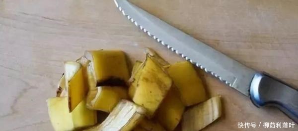 这2样厨余垃圾拿来养花,既能养叶又能强根催花