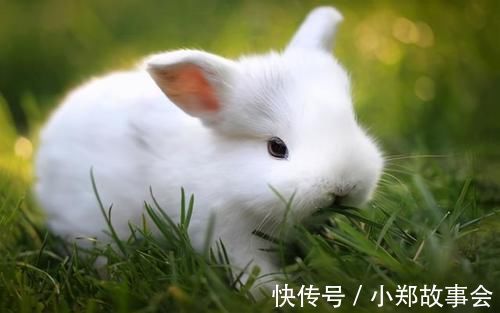 清淡饮食|为什么清淡饮食血脂还高呢?医生:或是“四大原因”所致