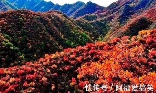 百花山|北京大美秋景之：百花山