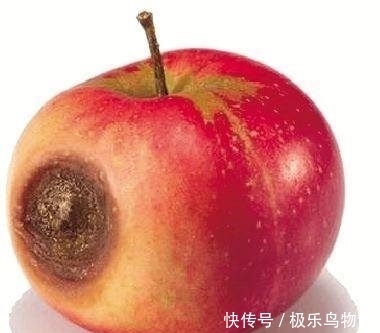 胃不好的人，饭后容易出现3种表现，占一个，最好检查一下