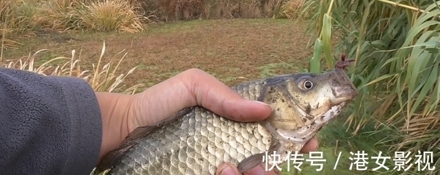 鱼星|秋冬季节传统钓,打窝后不要立刻下竿,这说法靠谱吗