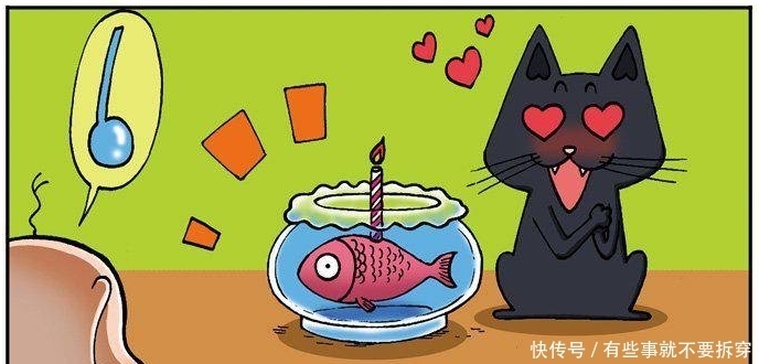 爆笑|爆笑校园:呆头家的小黑过生日,呆头用鸡蛋托盘给小鸟做鸟窝!