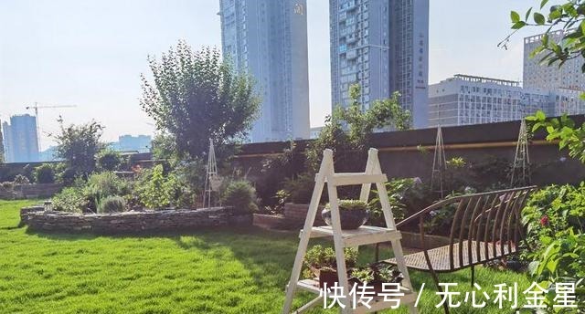 矾根|为了300㎡露台花园，毫不犹豫买了这房子，在城市屋顶过上田园生活！