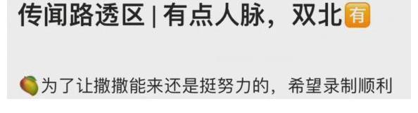 《明偵7》錄制時間已出!何炅撒貝寧確認(rèn)合體,首發(fā)陣容超級豪華