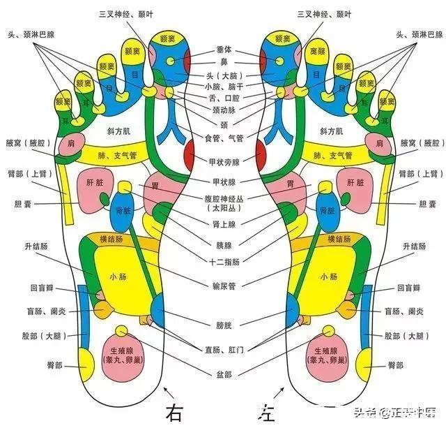 痰湿|大夫亲授的这个动作，让你不节食还能瘦，祛湿健脾的效果还好