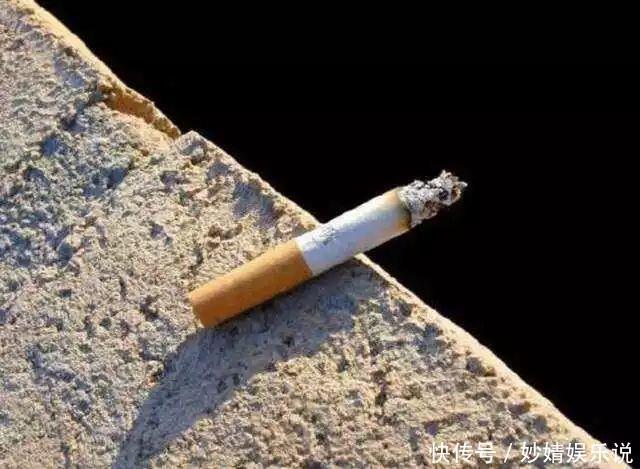 盆里埋点它，小虫子全没了，花越长越茂盛！