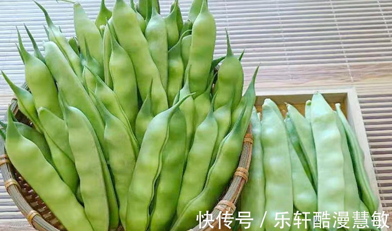 矿物质类|秋季吃豆比吃肉还“养人”!多吃5种豆,营养强体,全家安稳度秋