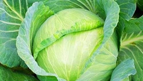 春季来了,多吃以下三种食物,营养丰富,健胃消食,早吃早好